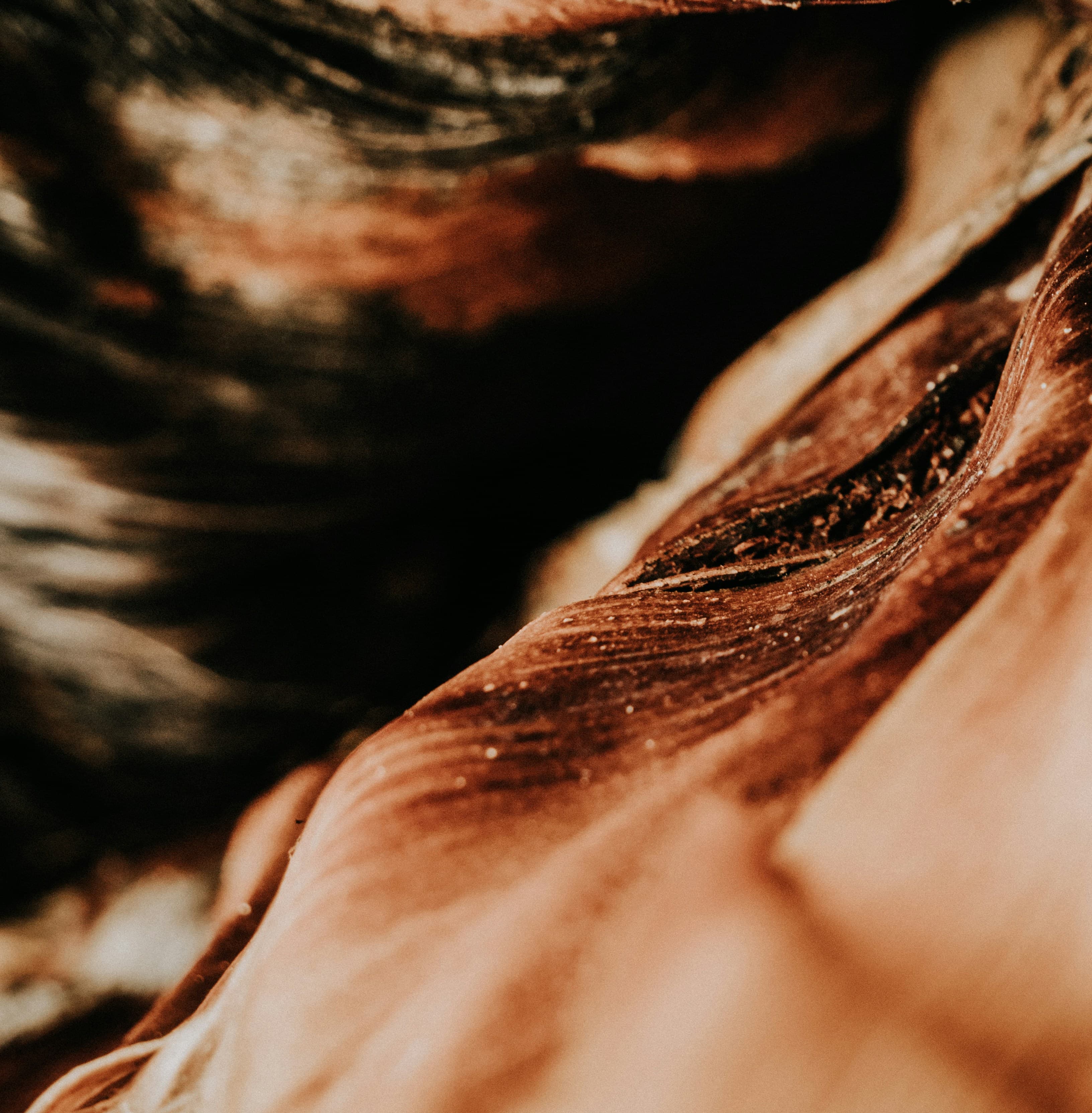 Atopic Dermatitis: Barrier Failure or Steady Control