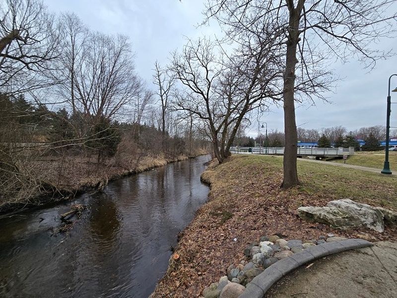 A photo of a small pond and trees in a park, taken with the Samsung Galaxy S24 Plus